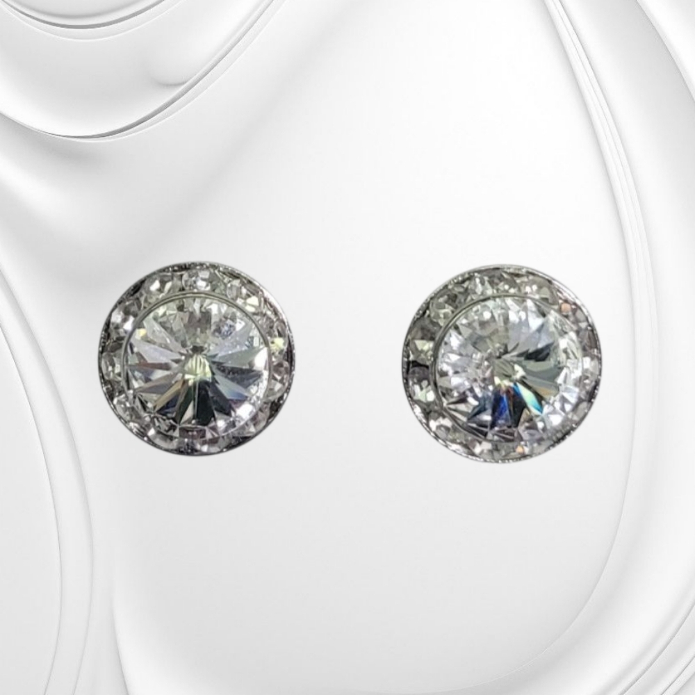 Clear Crystal Performance Show Earrings New